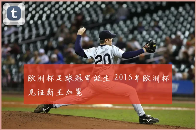 欧洲杯足球冠军诞生 2016年欧洲杯见证新王加冕
