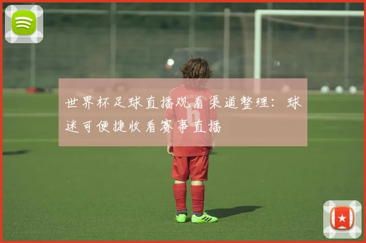 世界杯足球直播观看渠道整理:球迷可便捷收看赛事直播
